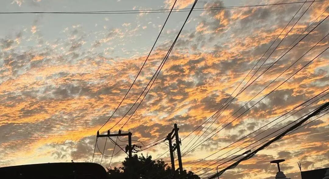780.jpg